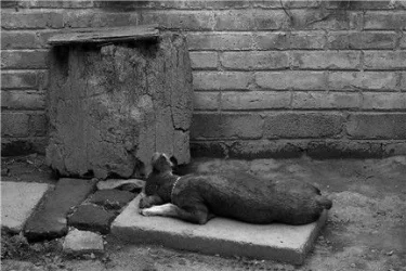 P0002446bw.webp