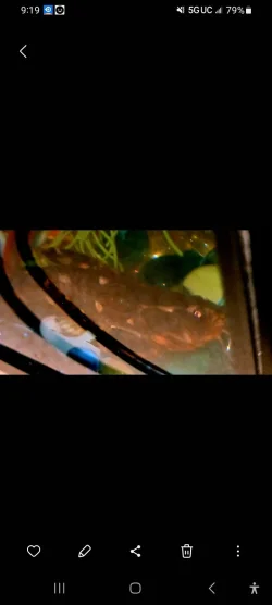Screenshot_20240518_211952_Gallery.webp