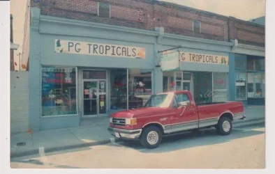 pg tropicals.webp