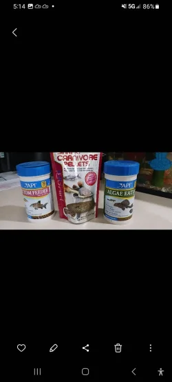 Screenshot_20240525_051443_Gallery.webp