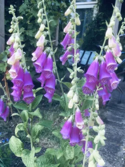 D7E509E8-294F-4BEE-AFF3-913C0796C628.webp
