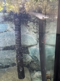 IMG_4005.jpeg