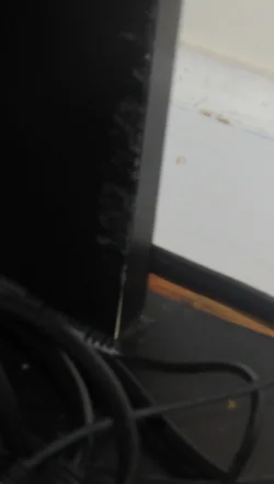 31546240_Unknown.webp