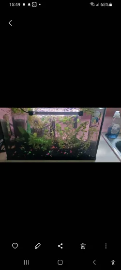 Screenshot_20240629_154912_Gallery.webp