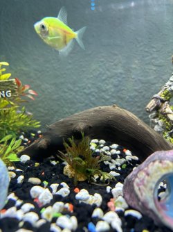 IMG_8064.jpeg