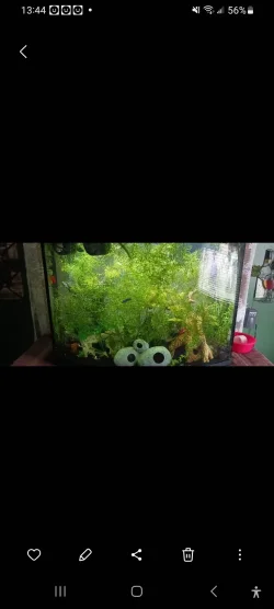Screenshot_20240723_134430_Gallery.webp