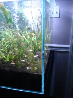 DSC03485.webp