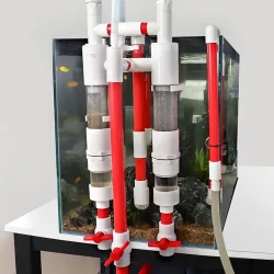 fish_toilet.webp