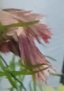 20240907_153057.webp