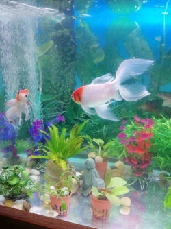 IMG_20241004_164124.webp