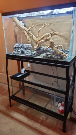 First Sump setup.webp