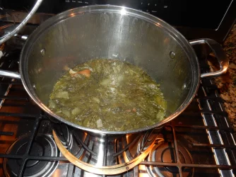 DSCN4259.webp