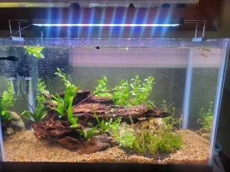 10gallon-2.webp