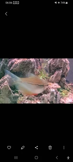 Screenshot_20241024_060653_Gallery.webp