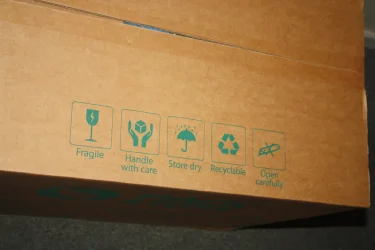 IMG_4453.webp