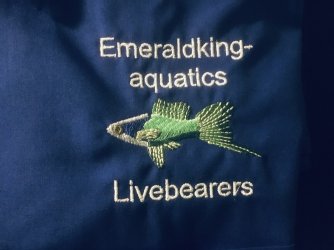 Emeraldking-aquatics_Photo_20241106_3.jpg Emeraldking-aquatics_Photo_20241106_3.jpg