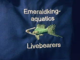 Emeraldking-aquatics_Photo_20241106_3.jpg Emeraldking-aquatics_Photo_20241106_3.jpg