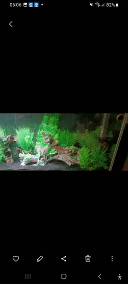 Screenshot_20241107_060638_Gallery.webp
