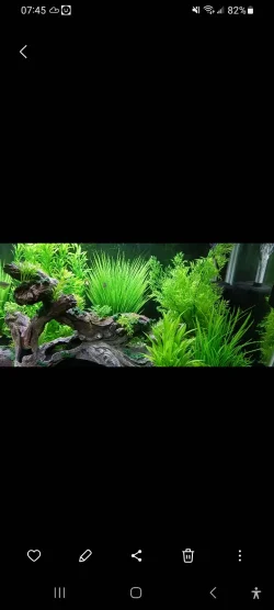 Screenshot_20241116_074516_Gallery.webp