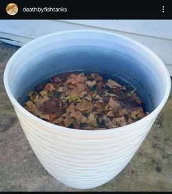 Screenshot_20241119-141017.webp