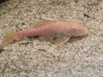 20241130_112704.webp