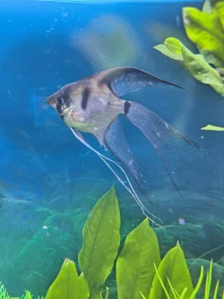 IMG_20241209_131222355_HDR.webp