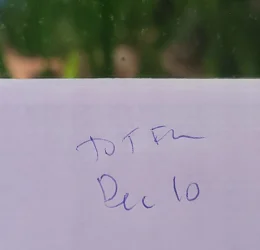 date.webp