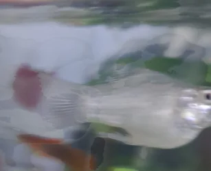 20241215_155946.webp