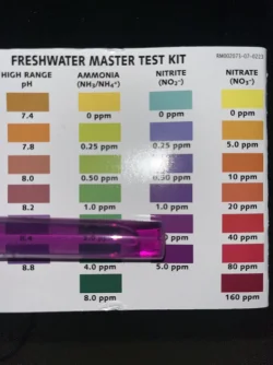 water test.webp
