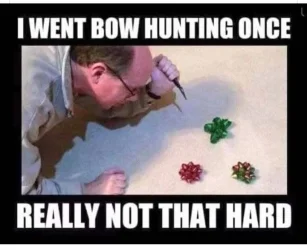 bows.webp