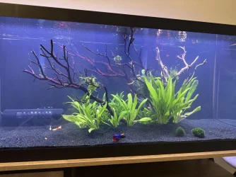 IMG_2280.webp