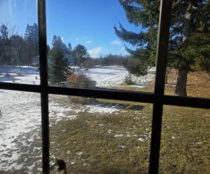 window iew.webp
