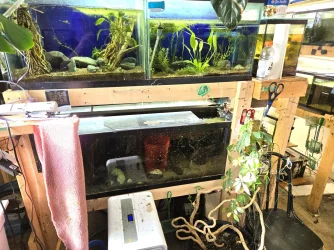 room15.webp