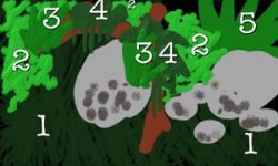 betta_scape.jpg