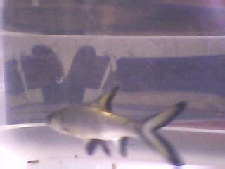 Picture_139.jpg