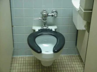 toilet.webp