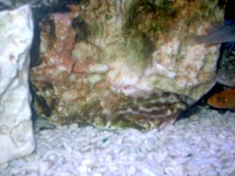 Picture_004.jpg