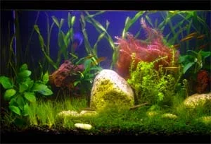 10g_9_25.webp