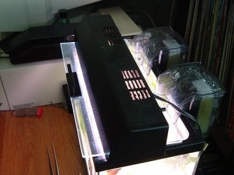 zzTFF_tank_filters1.jpg