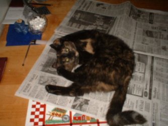 DSCF0077.JPG