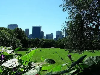 zzTFF_TheGreatLawn.webp