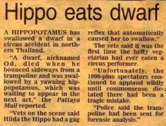hippo.webp