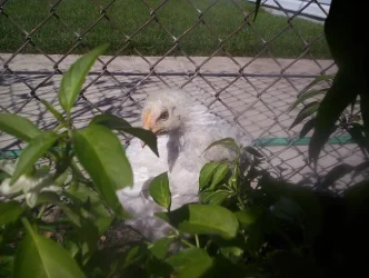 100_3403.webp