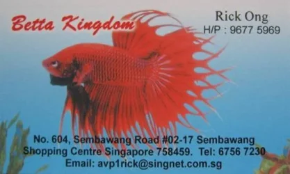 bettakingdom.webp