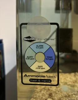 AmmoniaAlert.webp