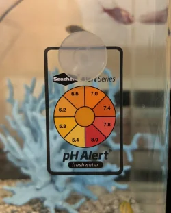 PHAlert.webp