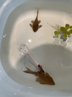 IMG_0605.jpg IMG_0605.jpg