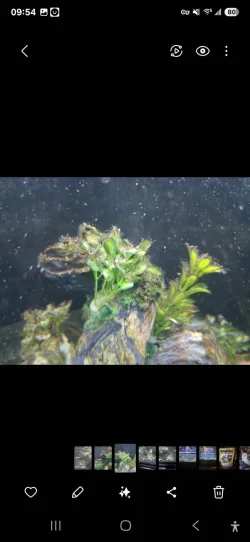 Screenshot_20250210_095414_Gallery.webp