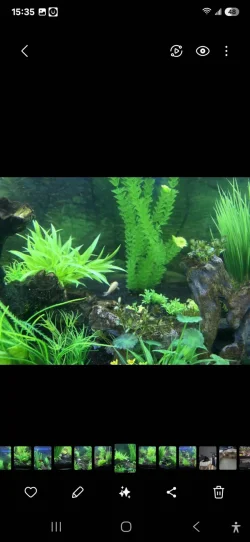 Screenshot_20250215_153503_Gallery.webp