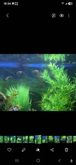 Screenshot_20250215_153429_Gallery.webp